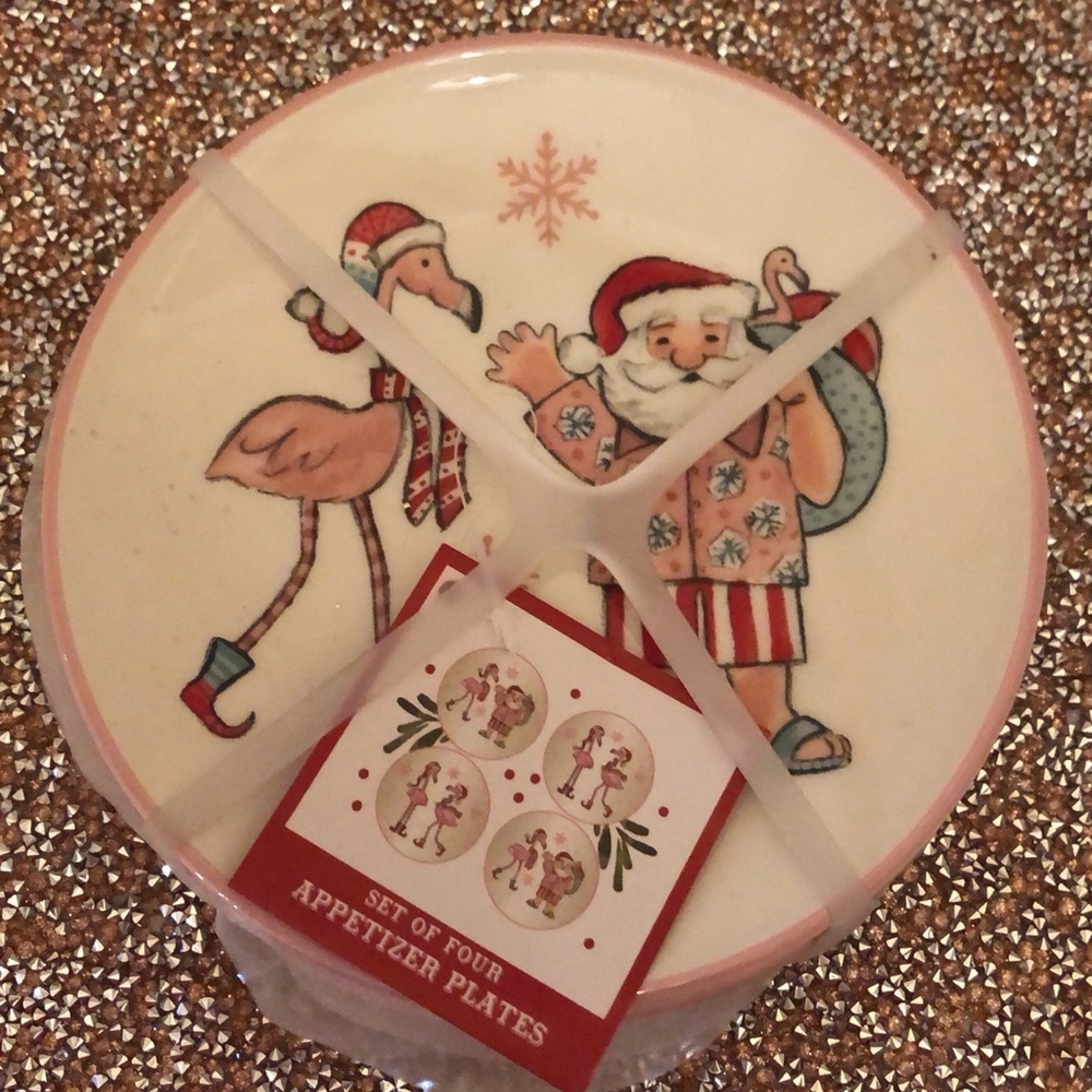 New 4 Christmas Santa Flamingo Plates